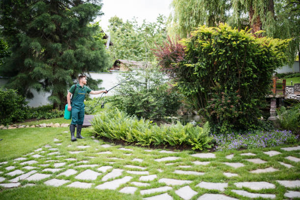 Best Lawn Irrigation Installation and Maintenance  in Bluewell, WV